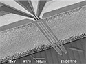 A thermally-activated modular SPM probe for mulitfunctional applications